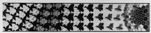 Escher's Metamorph
